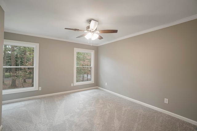 empty room featuring carpet, ceiling fan, and crown molding