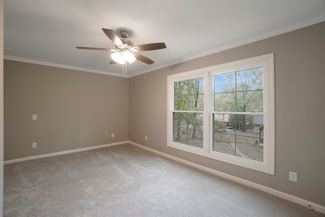 carpeted spare room with ceiling fan and crown molding