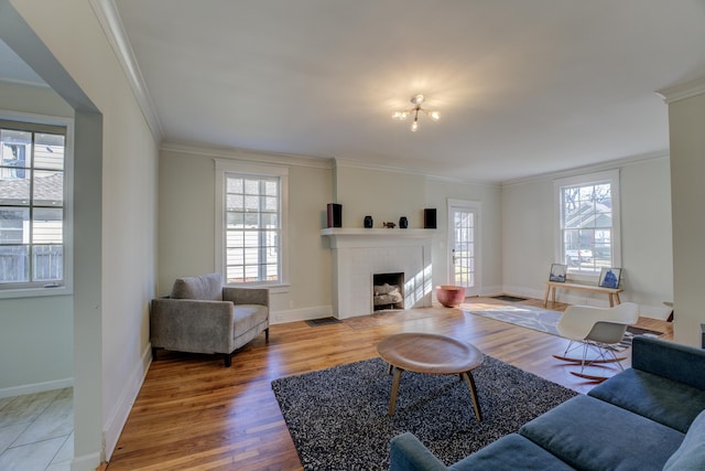 living room featuring wood-type flooring and crown molding