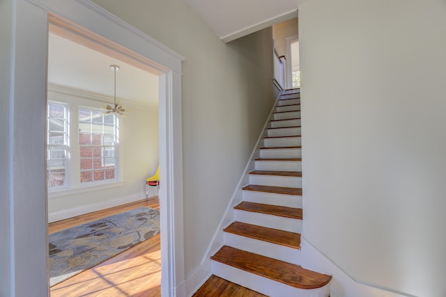 staircase featuring hardwood / wood-style flooring and a notable chandelier