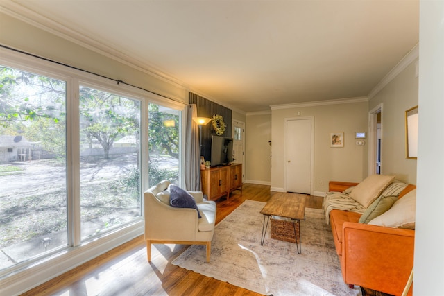 living room with light wood-type flooring and crown molding