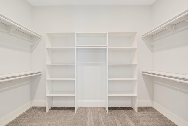 140 Magnolia Ridge Dr, Rossville, TN 38066 - walk in closet with carpet
