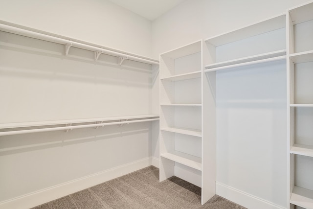 walk in closet featuring carpet