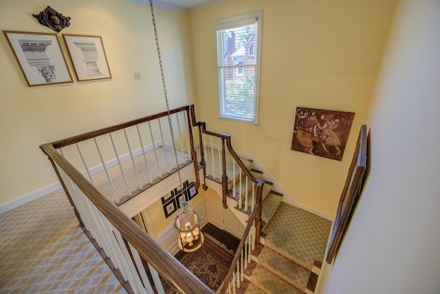 stairs featuring carpet flooring and ornamental molding