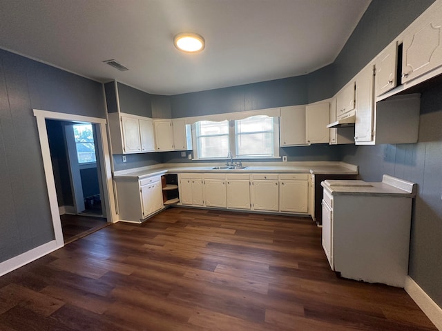 kitchen featuring white cabinets, dark wood-type flooring, and sink