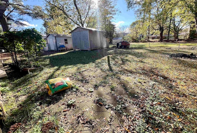 view of yard featuring a shed