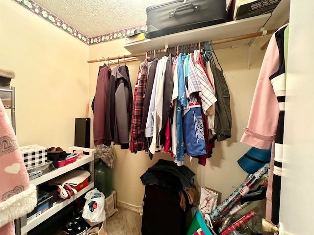 view of spacious closet