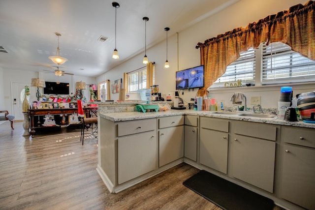 kitchen with hardwood / wood-style flooring, ceiling fan, sink, and a wealth of natural light