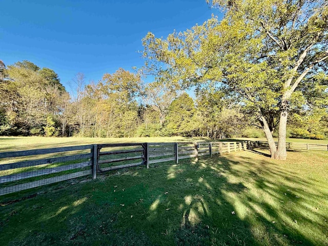 view of yard featuring a rural view