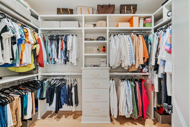 walk in closet featuring light hardwood / wood-style floors