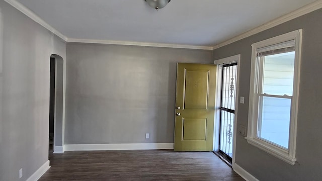 interior space with crown molding and dark wood-type flooring