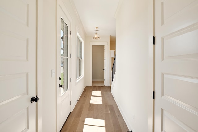 hall featuring crown molding and light hardwood / wood-style floors