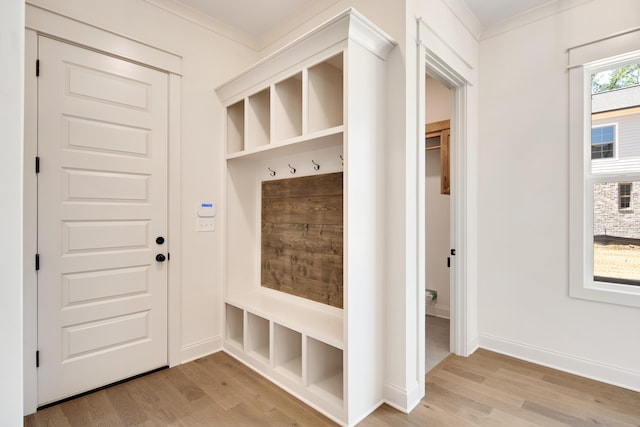 520 Valley Forge Ln, Rossville, TN 38066 - mudroom with light wood finished floors, crown molding, and baseboards