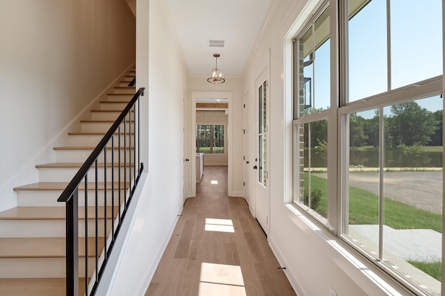 corridor with light wood-type flooring, plenty of natural light, and ornamental molding