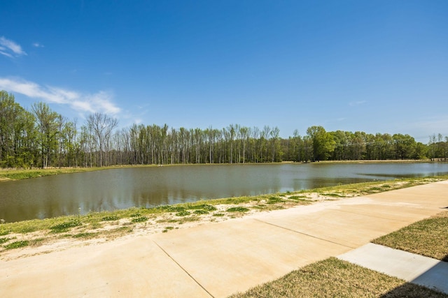 520 Valley Forge Ln, Rossville, TN 38066 - water view with a heavily wooded area