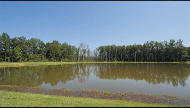 view of water feature