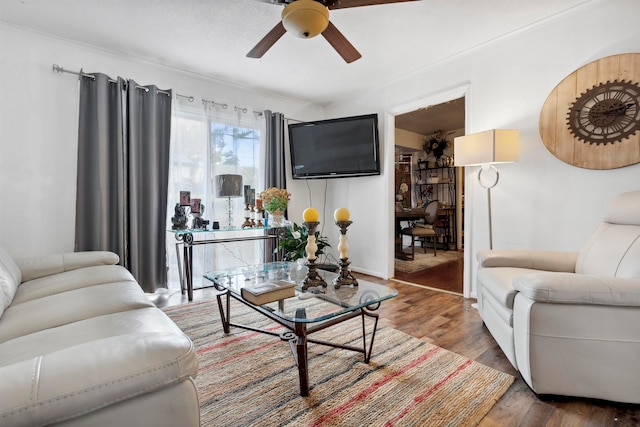 living room featuring hardwood / wood-style floors, ceiling fan, and ornamental molding