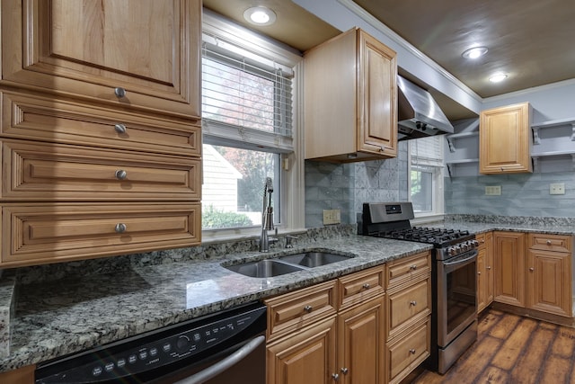 kitchen with dark hardwood / wood-style flooring, sink, stone countertops, and appliances with stainless steel finishes