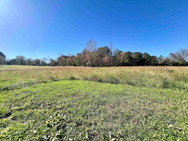 125 S Palmer St, Adamsville TN, 38310 land for sale