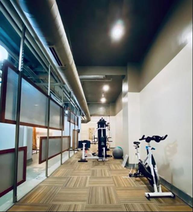 exercise room featuring carpet