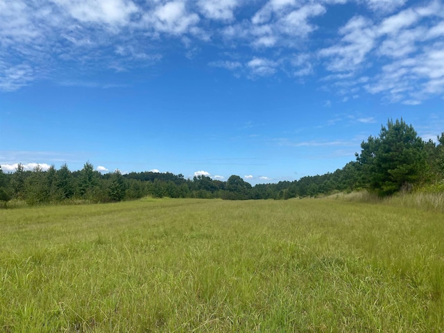 view of nature featuring a rural view