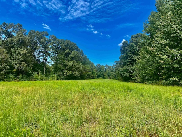 view of local wilderness