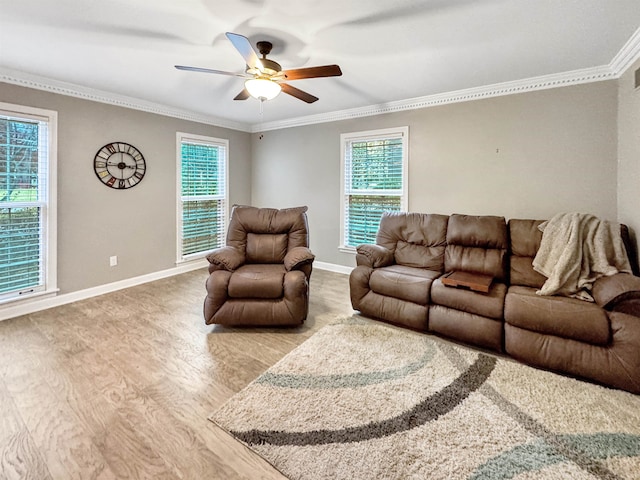 living room with hardwood / wood-style floors, ceiling fan, and crown molding