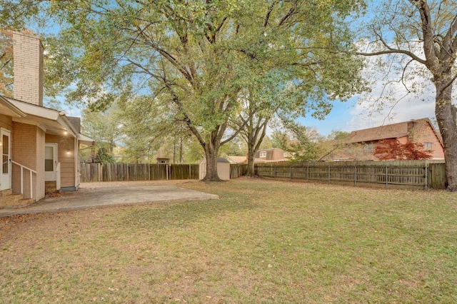 view of yard featuring a patio