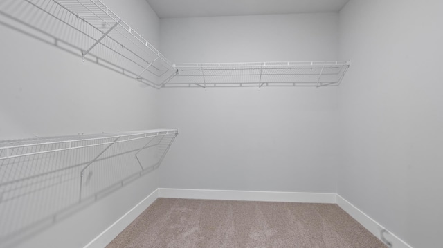 walk in closet with carpet