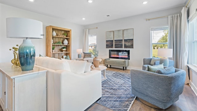 living room with wood-type flooring