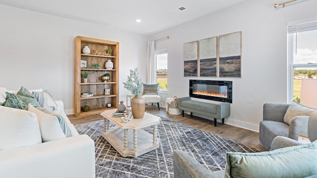 living room featuring dark hardwood / wood-style flooring