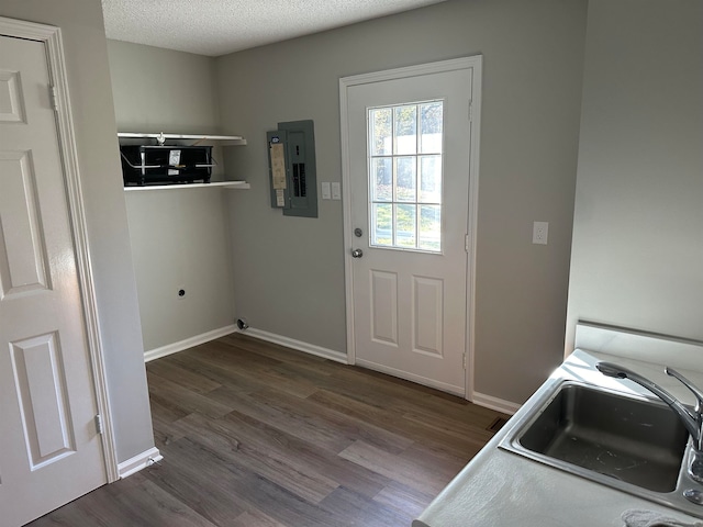 doorway featuring a textured ceiling, sink, electric panel, and dark wood-type flooring