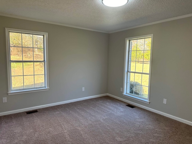 carpeted spare room featuring crown molding and a textured ceiling