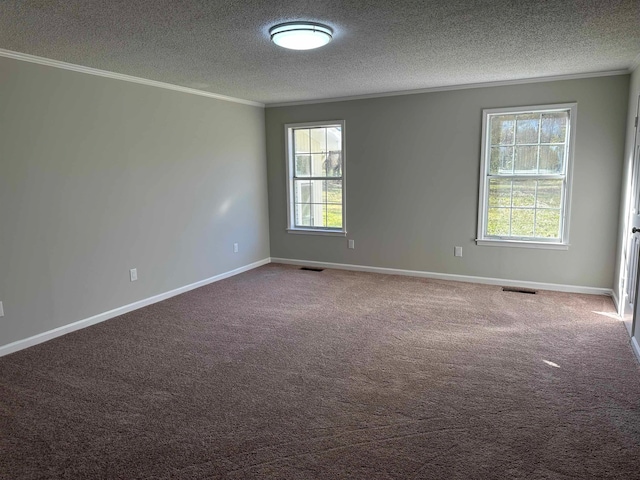 carpeted spare room featuring a healthy amount of sunlight, crown molding, and a textured ceiling