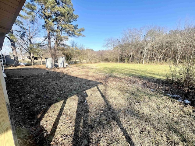 view of yard with a storage shed