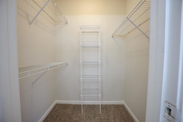 walk in closet featuring carpet flooring