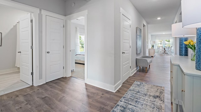 hall with plenty of natural light and dark wood-type flooring