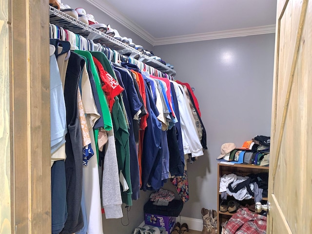 view of spacious closet