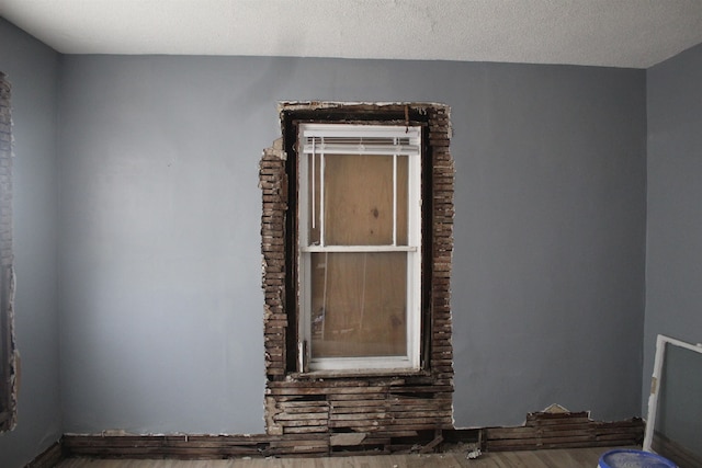 empty room with hardwood / wood-style floors and a textured ceiling