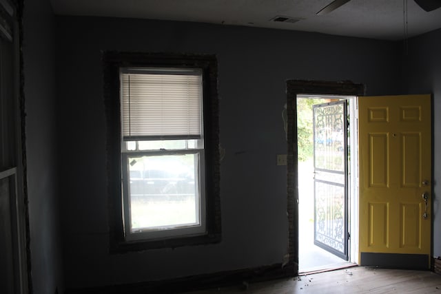 foyer entrance featuring hardwood / wood-style flooring, ceiling fan, and a healthy amount of sunlight