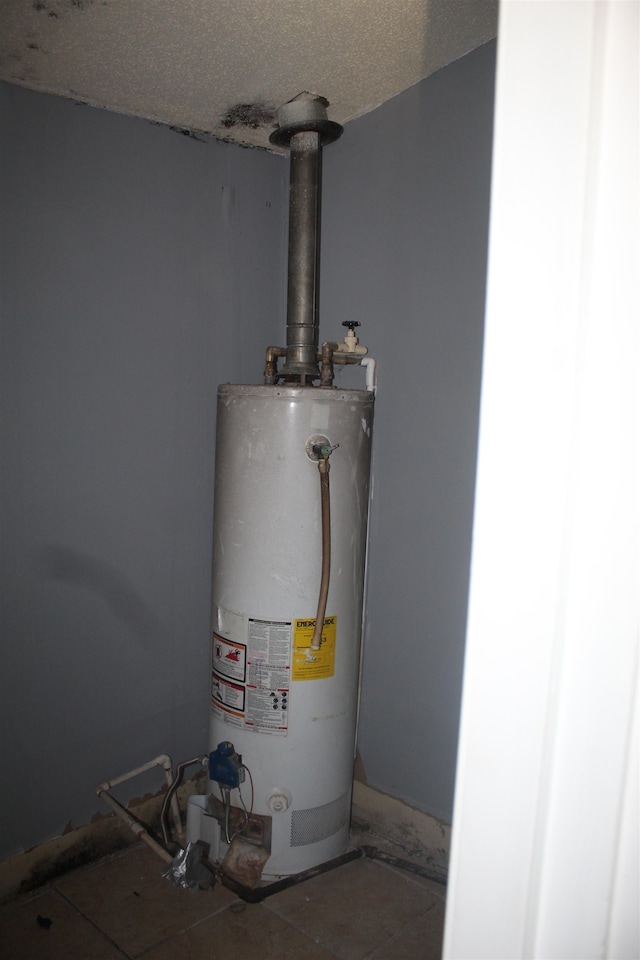 utility room with water heater