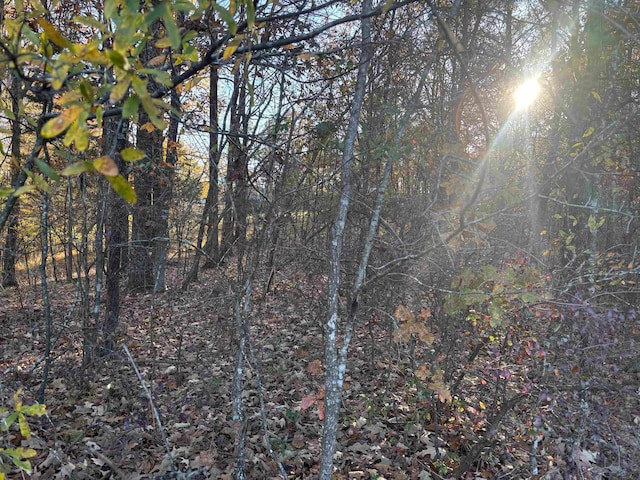 182 Fawn Dr Unit Wr182, Middleton, TN 38052