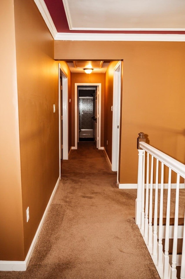 corridor featuring carpet flooring and crown molding