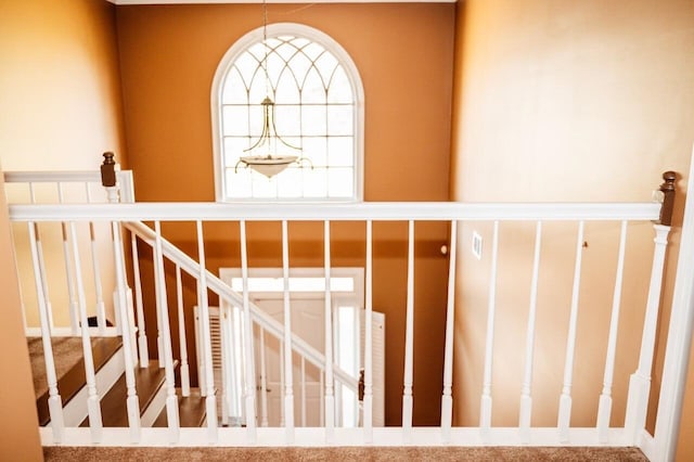 stairway featuring carpet floors