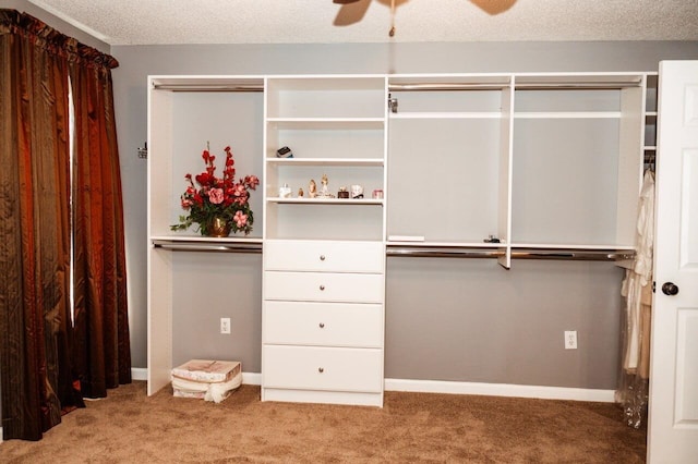 spacious closet with ceiling fan and carpet floors