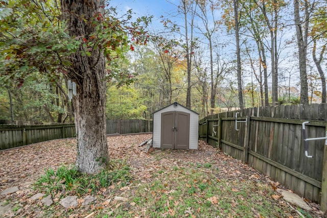 view of yard with a storage shed