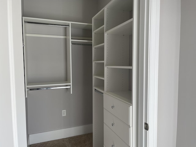 view of walk in closet