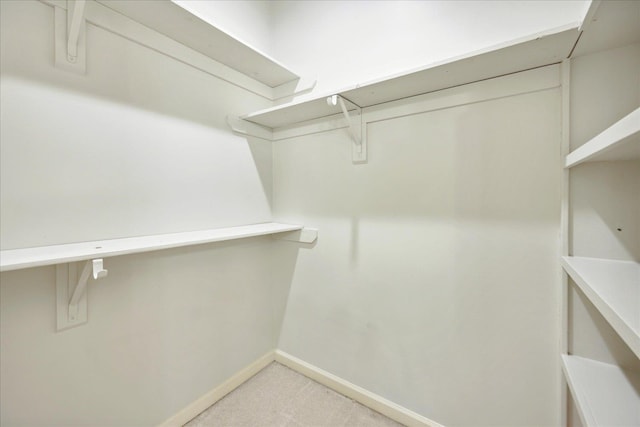 spacious closet with light carpet