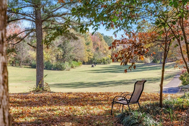 view of home's community with a lawn