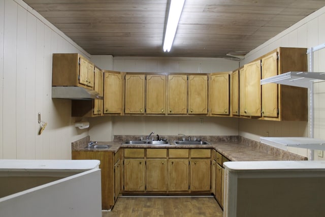 kitchen featuring wooden walls, sink, and dark wood-type flooring